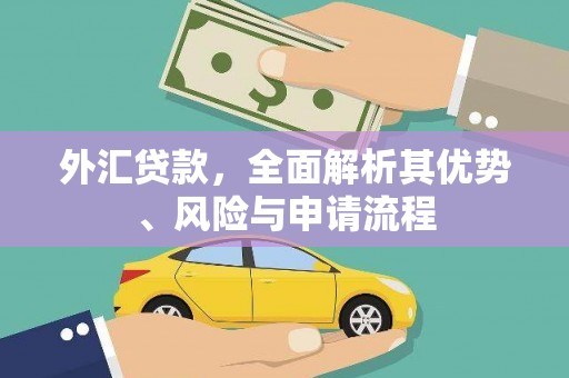 孝义外汇贷款，全面解析其优势、风险与申请流程