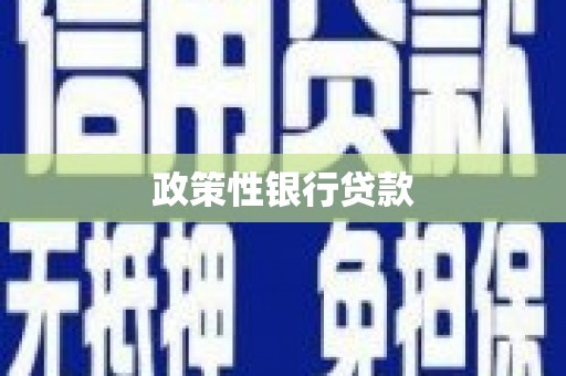 孝义政策性银行贷款