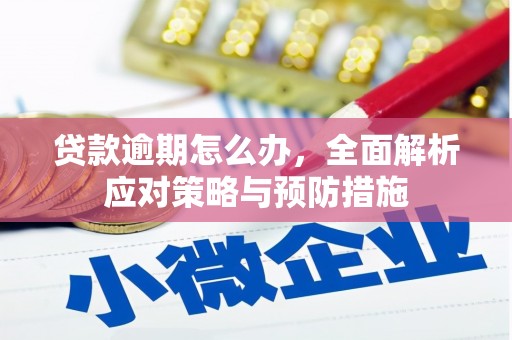孝义贷款逾期怎么办，全面解析应对策略与预防措施