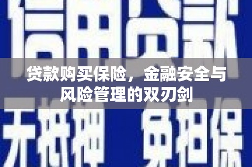 孝义贷款购买保险，金融安全与风险管理的双刃剑