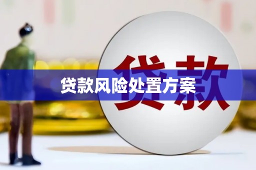 孝义贷款风险处置方案