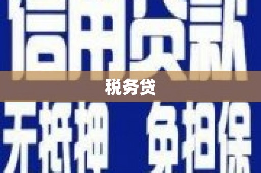 孝义税务贷
