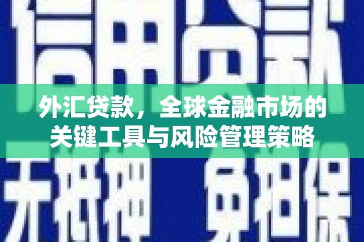 孝义外汇贷款，全球金融市场的关键工具与风险管理策略