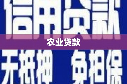 孝义农业贷款