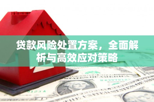 孝义贷款风险处置方案，全面解析与高效应对策略