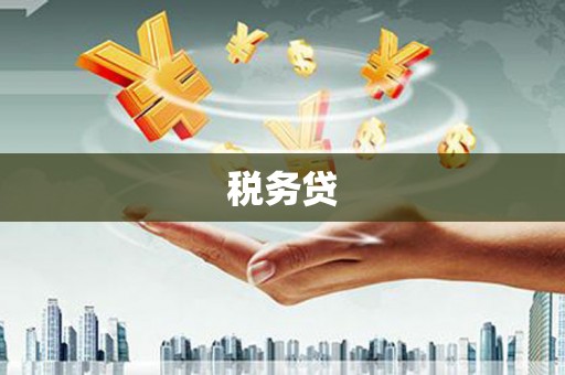 孝义税务贷