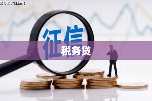 孝义税务贷