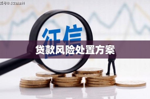 孝义贷款风险处置方案
