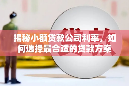 孝义揭秘小额贷款公司利率，如何选择最合适的贷款方案