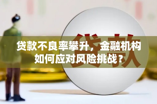 孝义贷款不良率攀升，金融机构如何应对风险挑战？